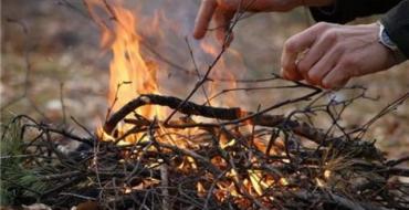 Об утверждении правил пожарной безопасности в лесах российской федерации